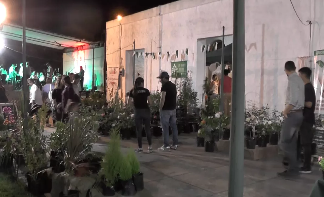 Fiesta Rosa 2019