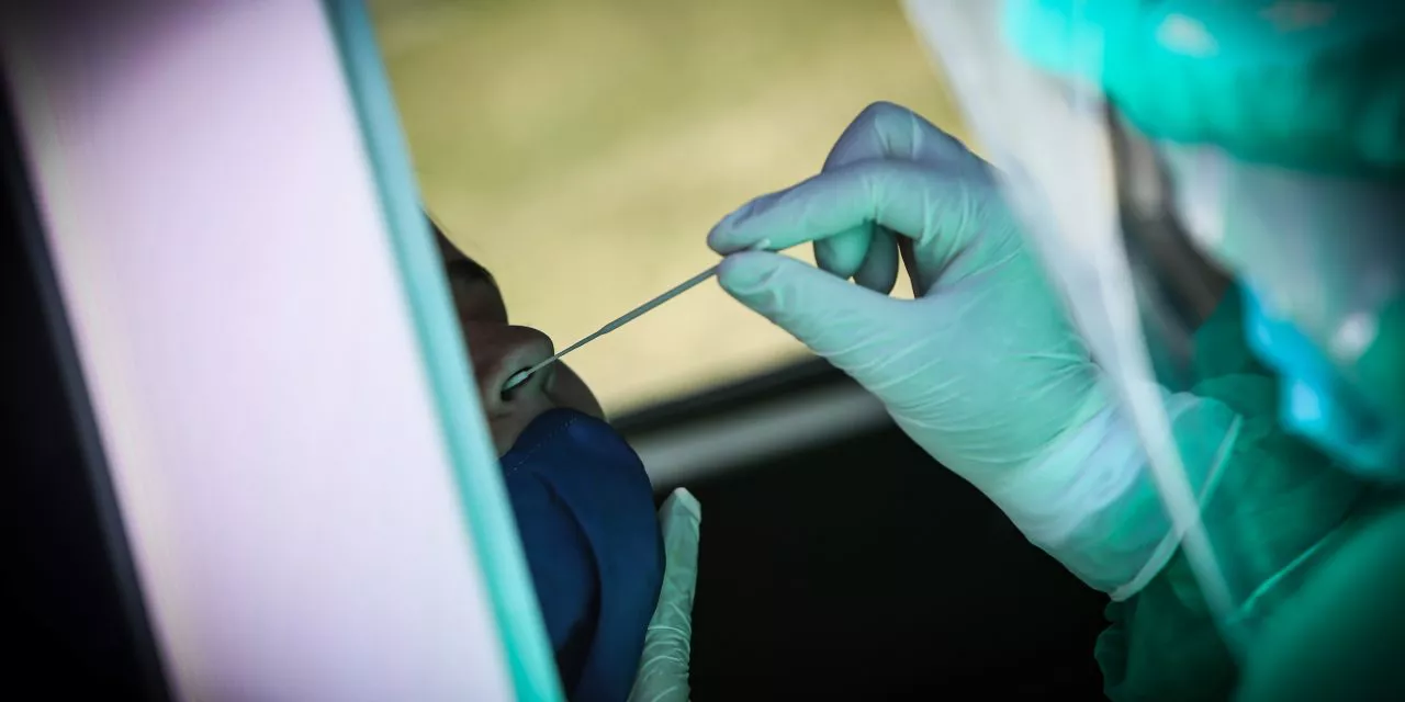 test-covid-coronavirus-casos-diarios-focouy-1280x640