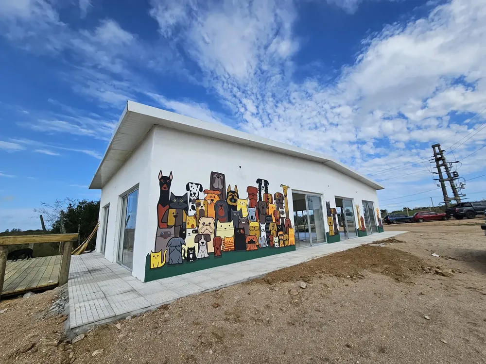 cc0e9e1e-2293-7e95-e12b-0b77c978699b