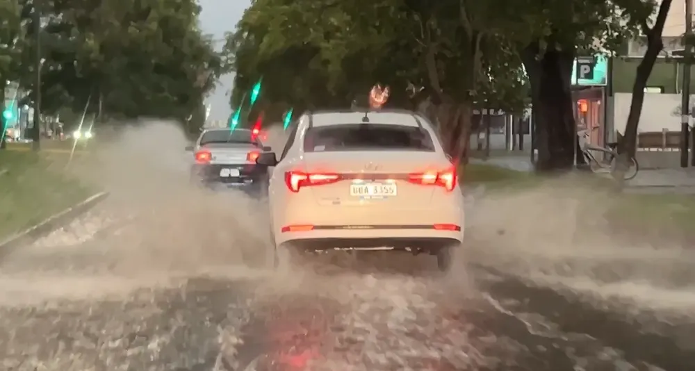 lluvias maldonado