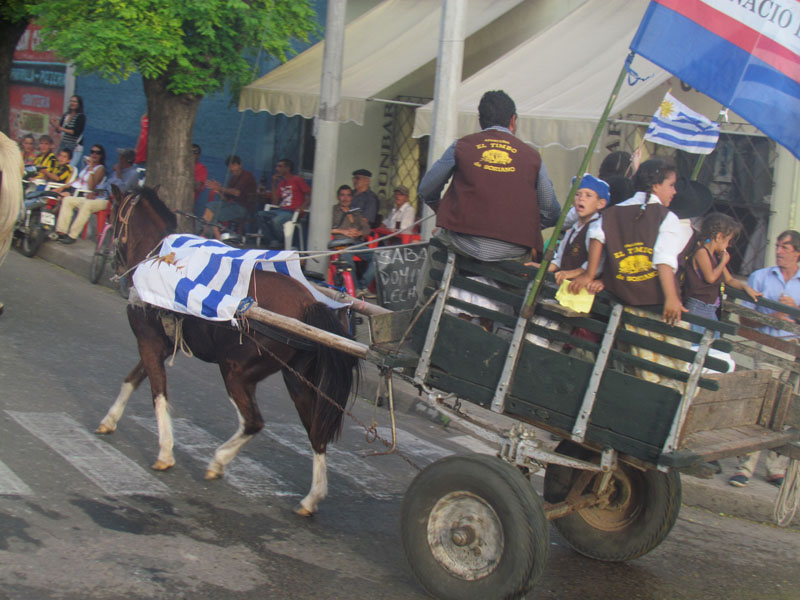 marcha caballeria (5)