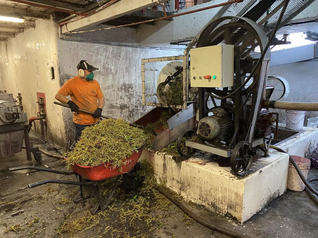 bodega maua trabajos