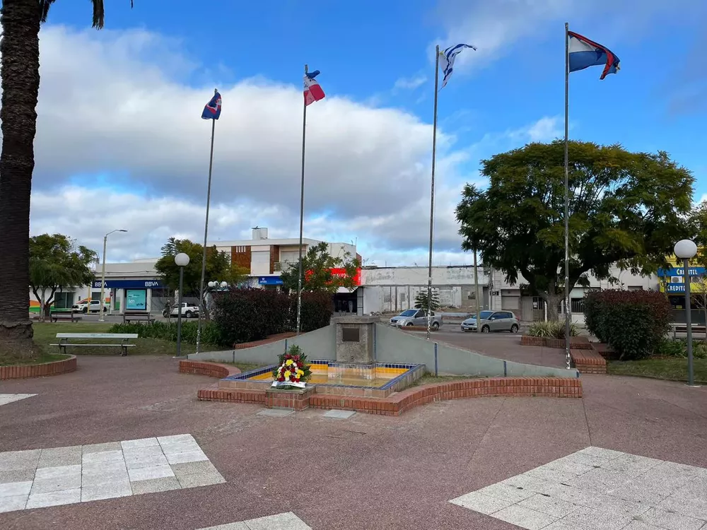 acyo jura constitucion dolores {