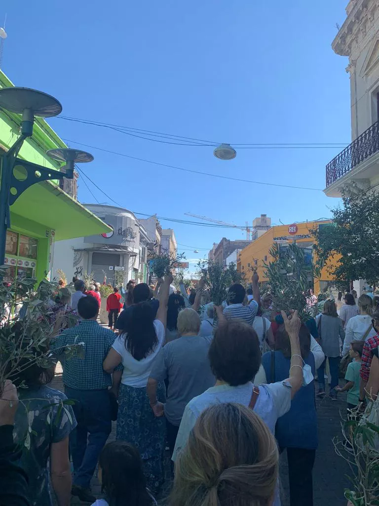 domingo ramos procesion