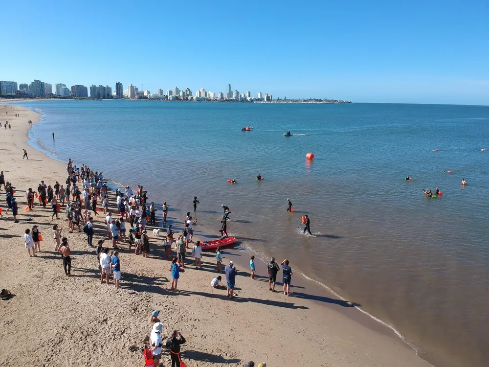 WhatsApp Image 2026-01-30 at 11.18.51