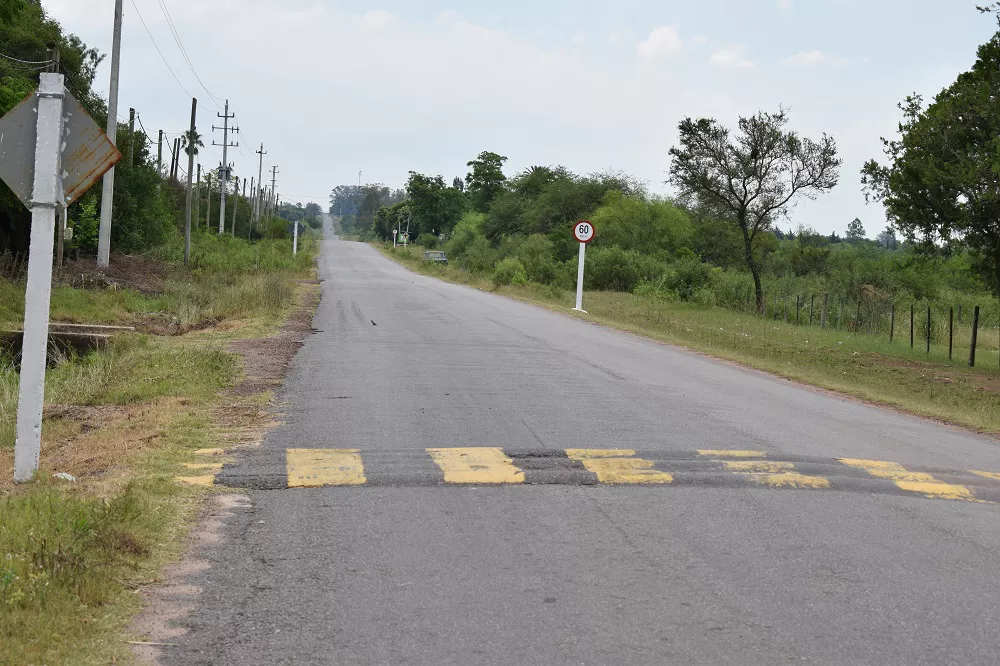 camino pense (1)
