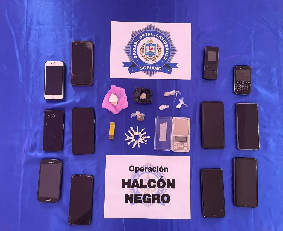 halcon negro