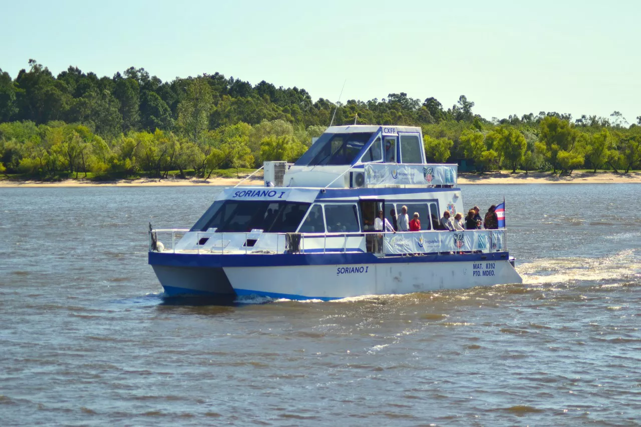 catamaran 234234