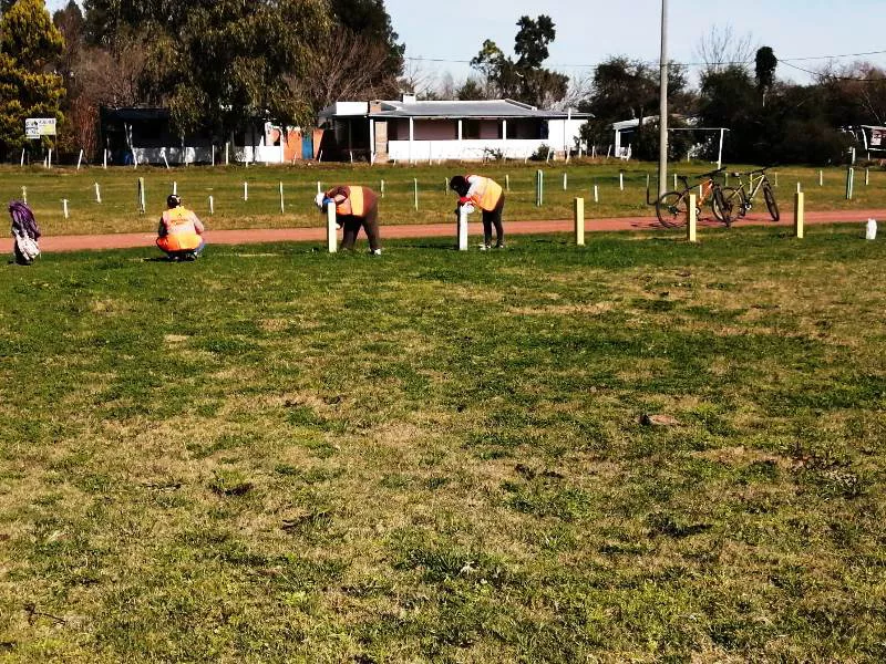 Oportunidad Laboral - primer mes de actividad 2