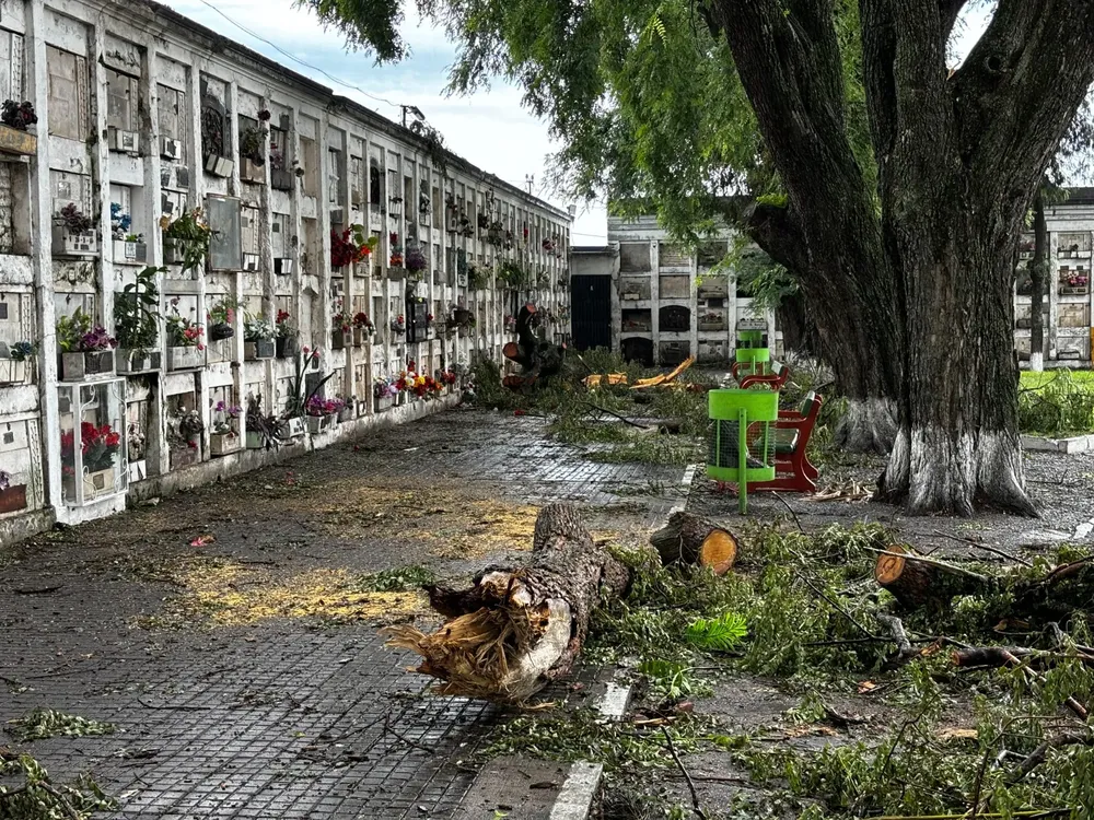 cementerio 2
