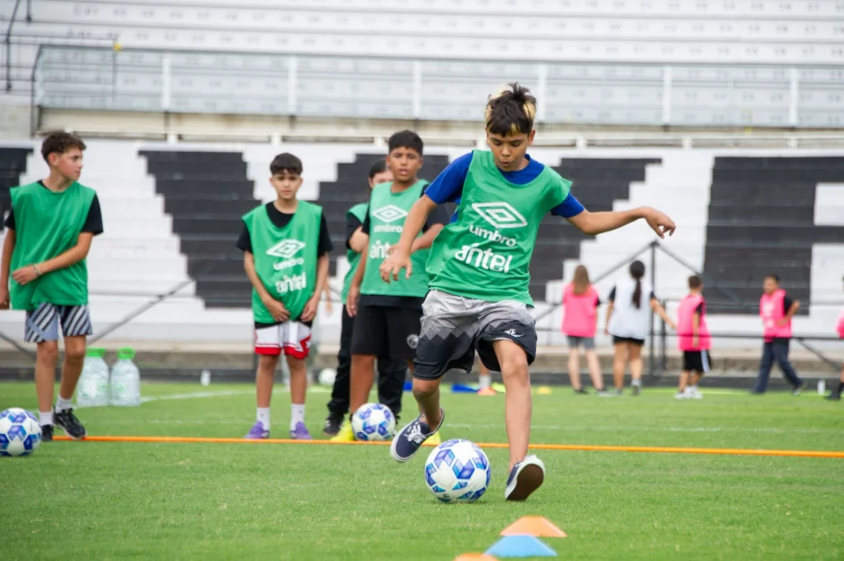 pelota al medio 341324