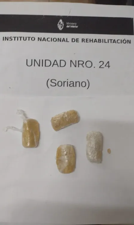 droga maestra