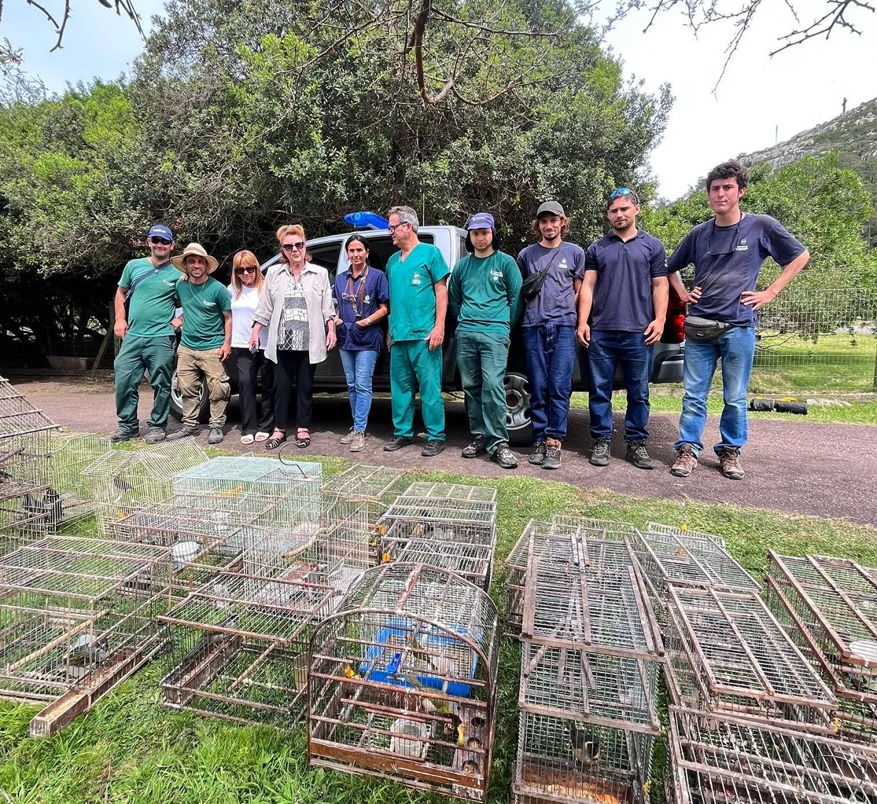 web ecfa aves incautadas en minas