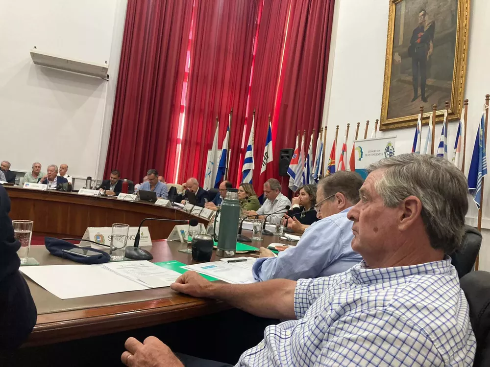 besozzi congreso