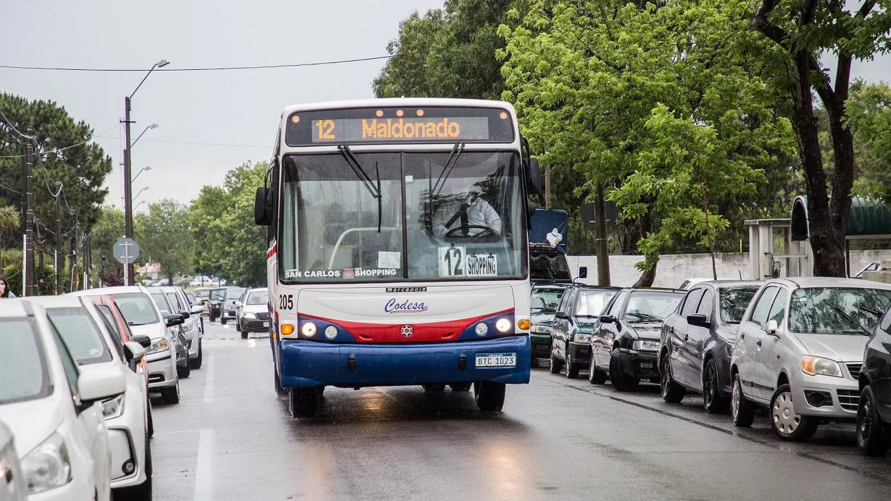 web omnibus transporte boleto estudiantil recorrido lineas (15)