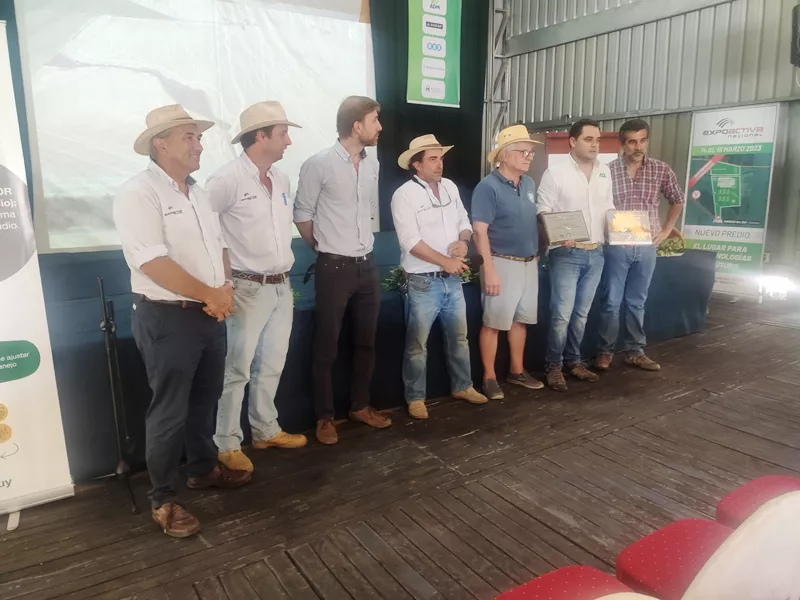 AG SERVICIOS