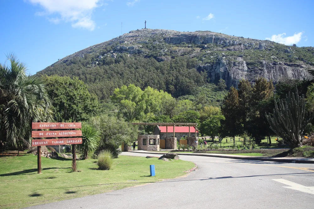 Cerro `Pan de Azucar ECFA 3412
