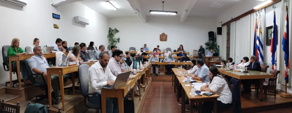 PLENARIO 4 DICIEMBRE 2023