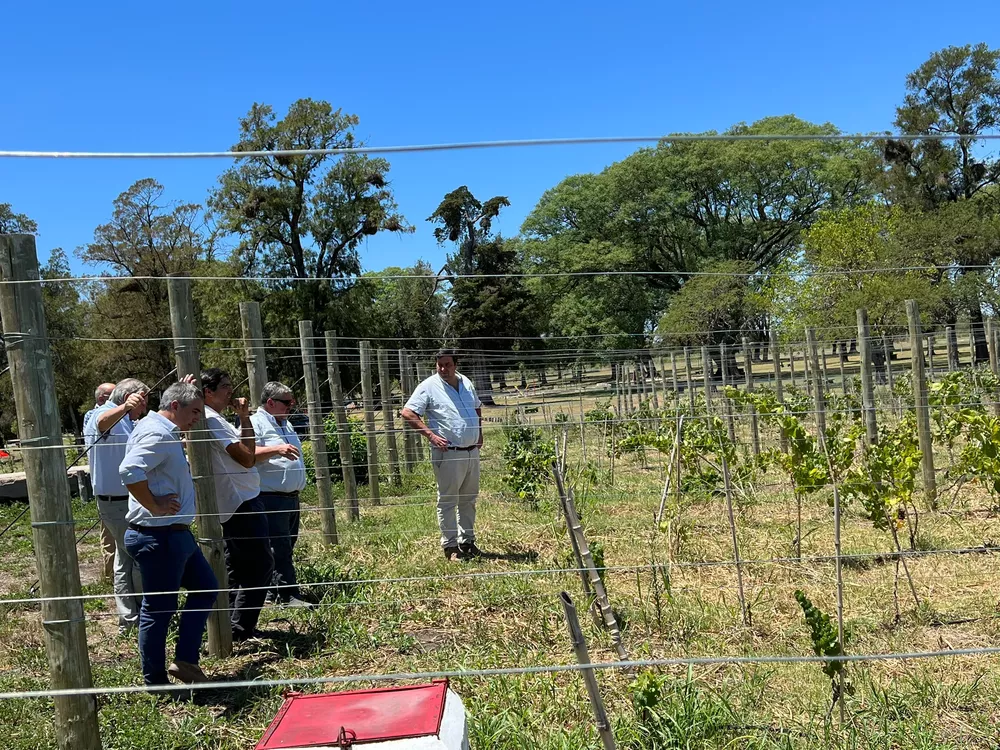 recorrieron Maua