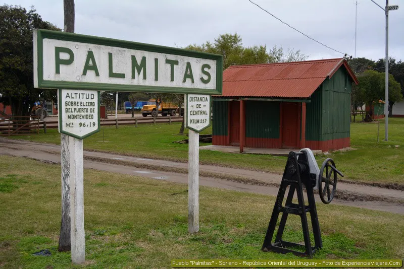 Palmitas