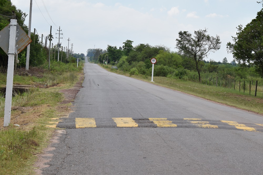 camino pense (1)