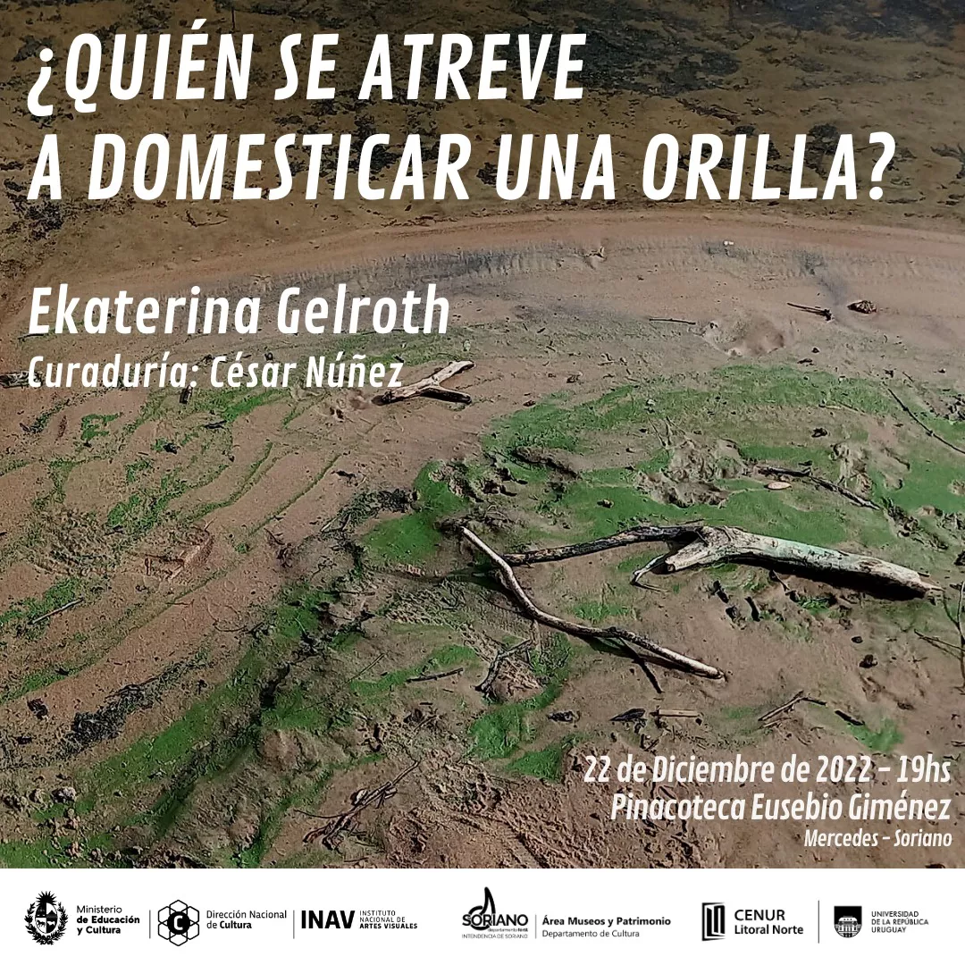 quien se atreve a domesticas una orilla