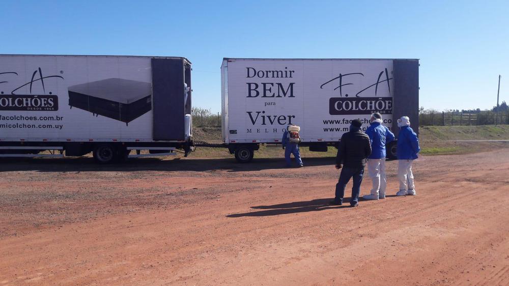 desinfección camión de carga 2