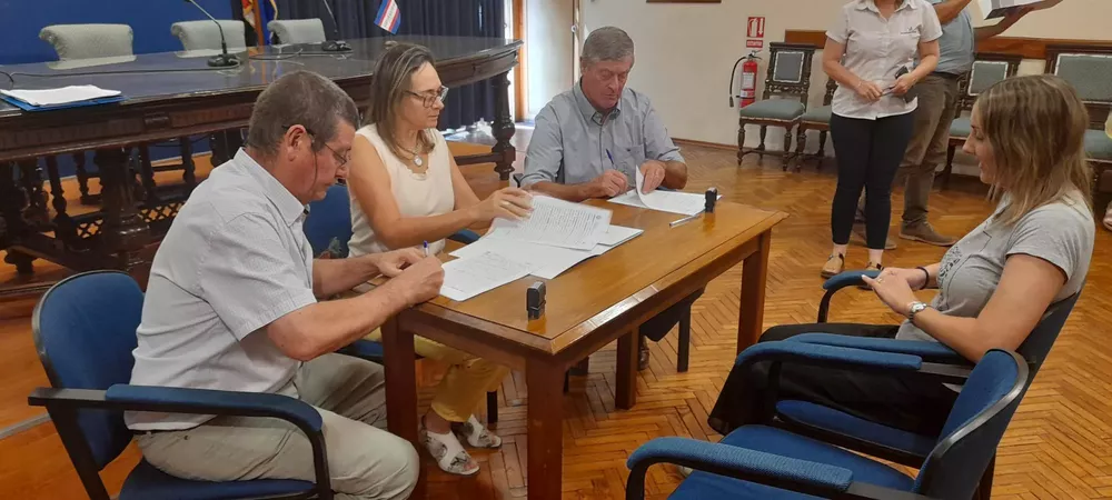 titulos firma