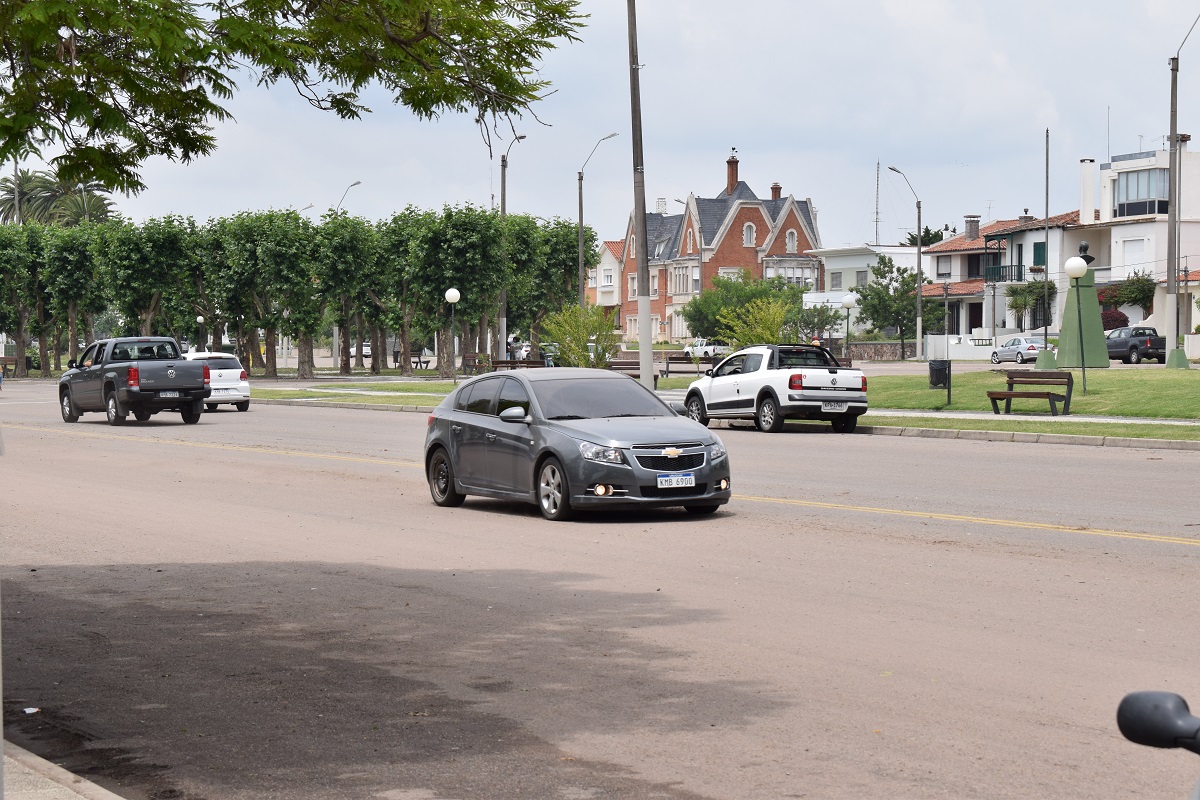 rio negro y rambla (5)