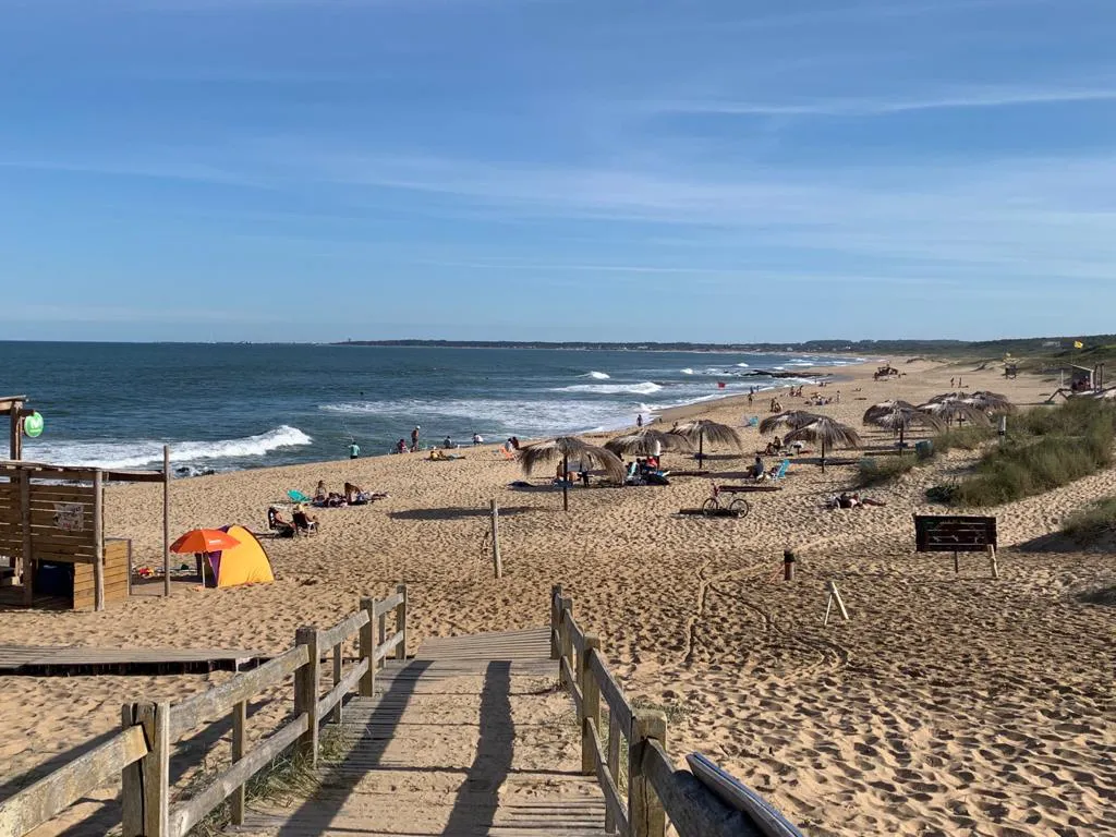 Rocha playas 31241234