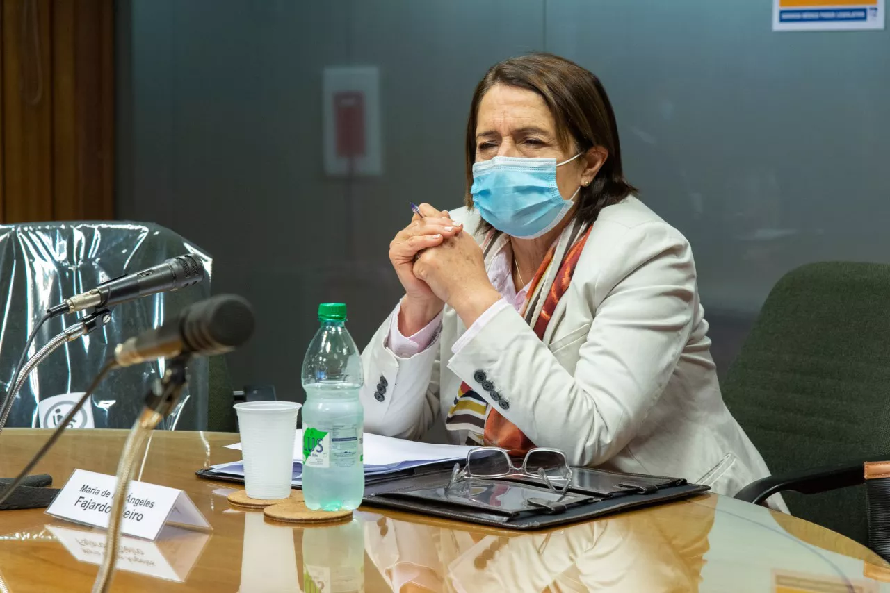 Diputada María Fajardo (4)