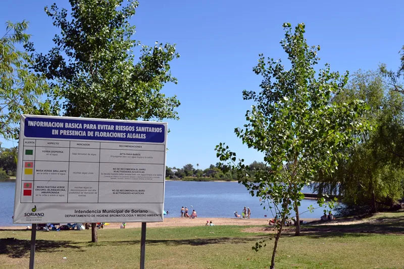 estado sanitario en playas
