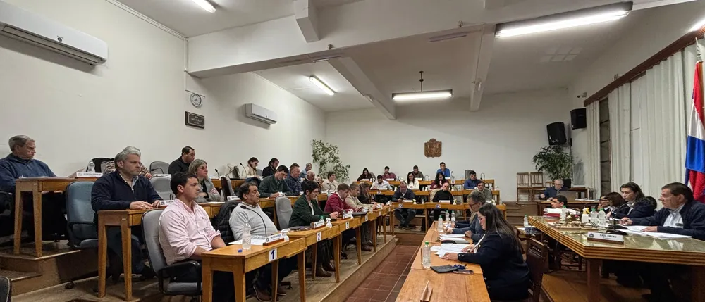 PLENARIO 8 SETIEMBRE 2025