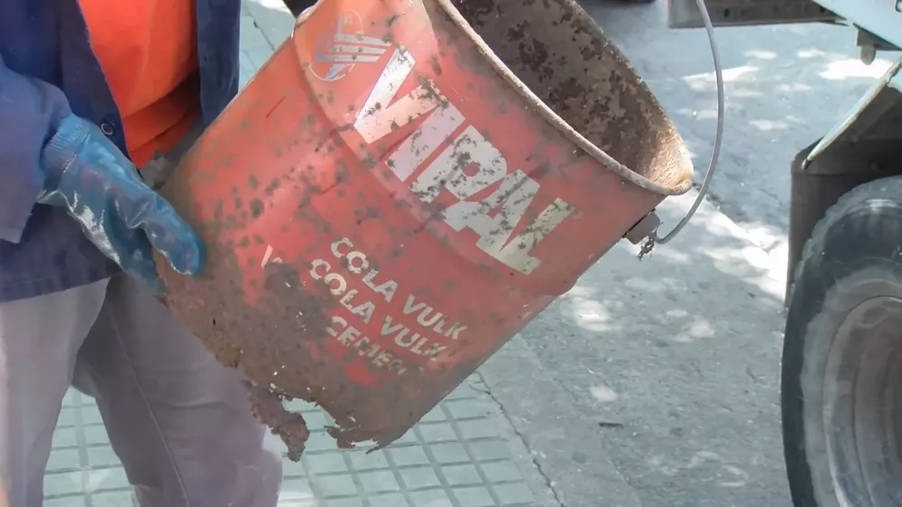 recolectores 2019