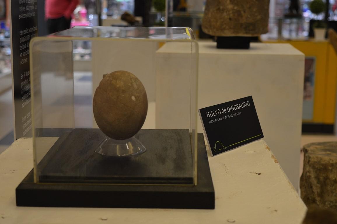 exposición museo intendencia