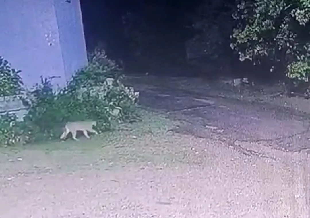 cb1341c8-5058-47d6-aed8-8d7ec6042beb