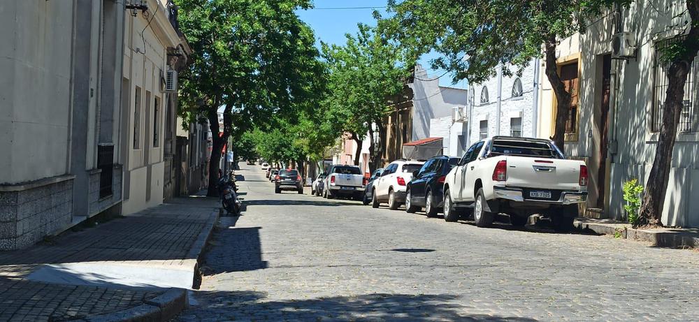 calle Paysandú 4131243