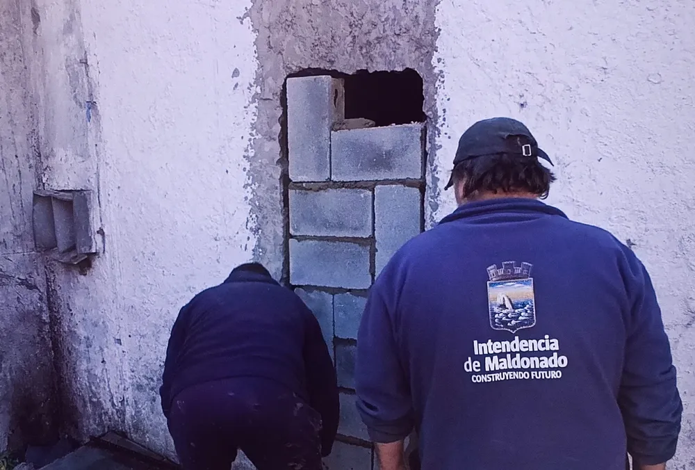 tapiado de casa en Maldonado