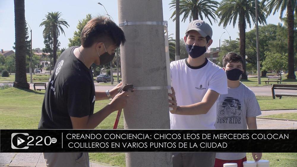 Imagen1