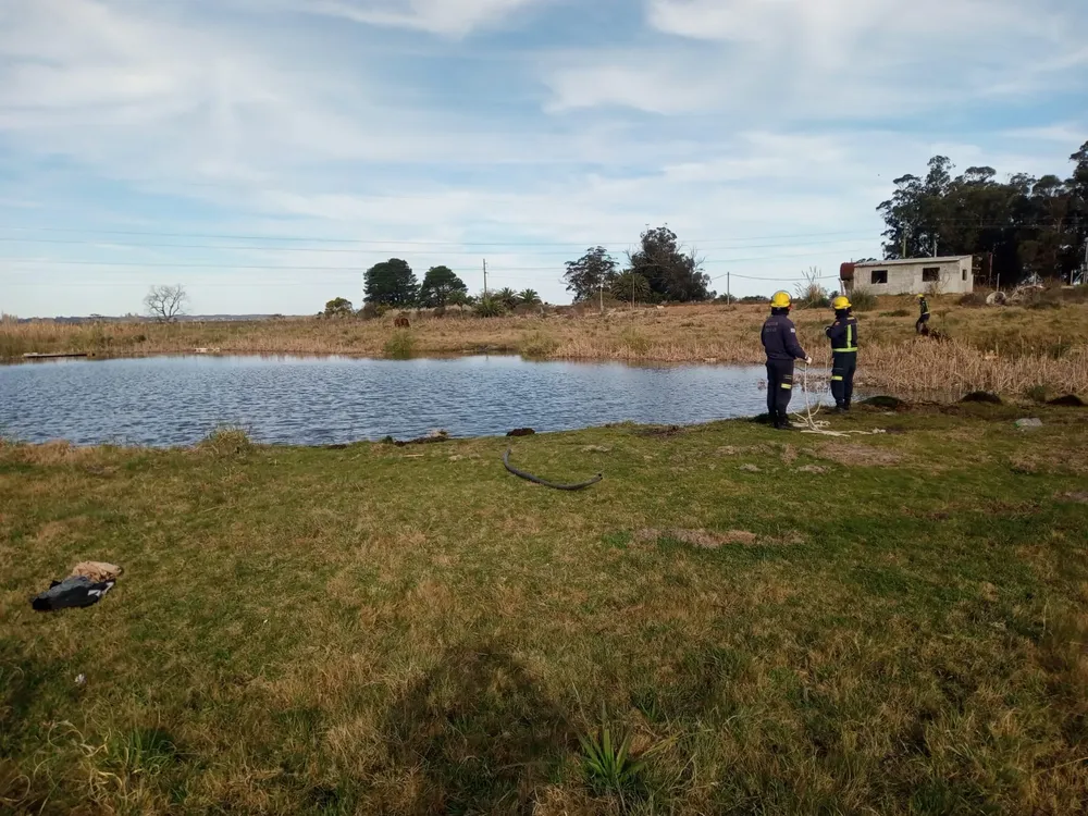 IMG-20240814-WA0054