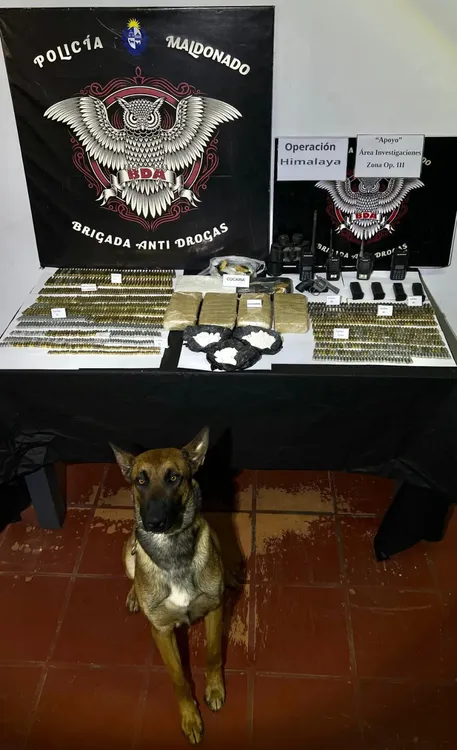 09031fbd-ed07-4313-a6fd-9b79b885fb23