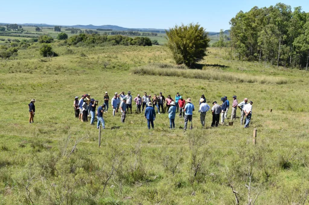 Productores-ganaderos-de-Tacuarembo-apuestan-al-campo-natural-1024x682