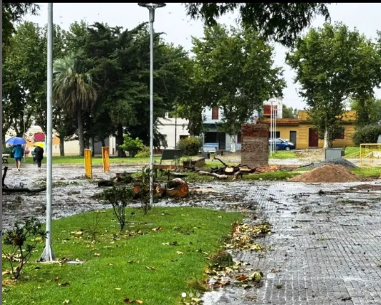 Captura de pantalla (436)