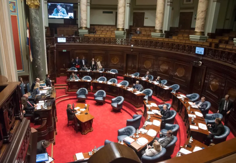 senado-aprobo-tenencia-compartida