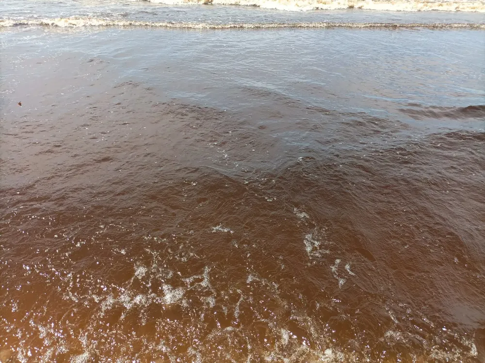 IMG-20240203-WA0016