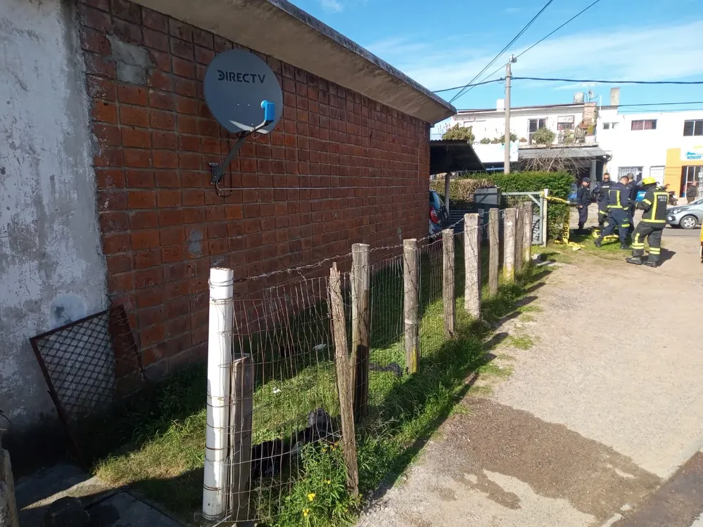 IMG-20240706-WA0017