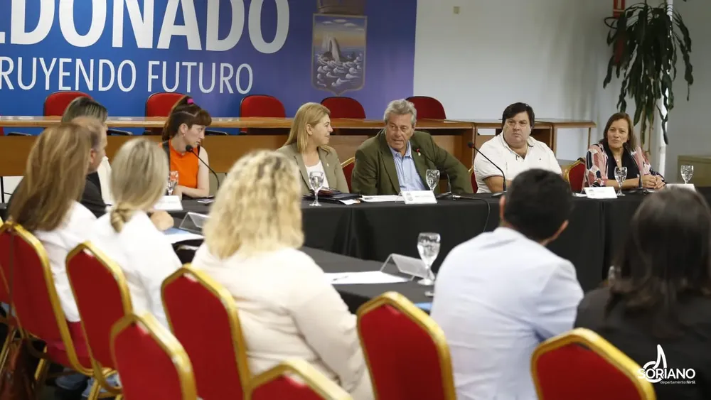 comision discapacidad