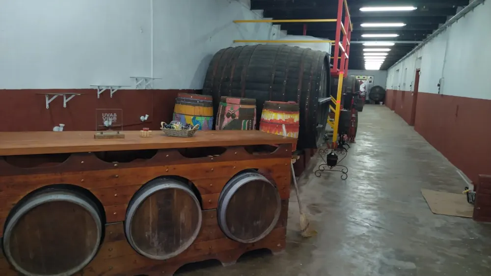 BODEGA MAUÁ - actividades día Patrimonio 2024 -  2
