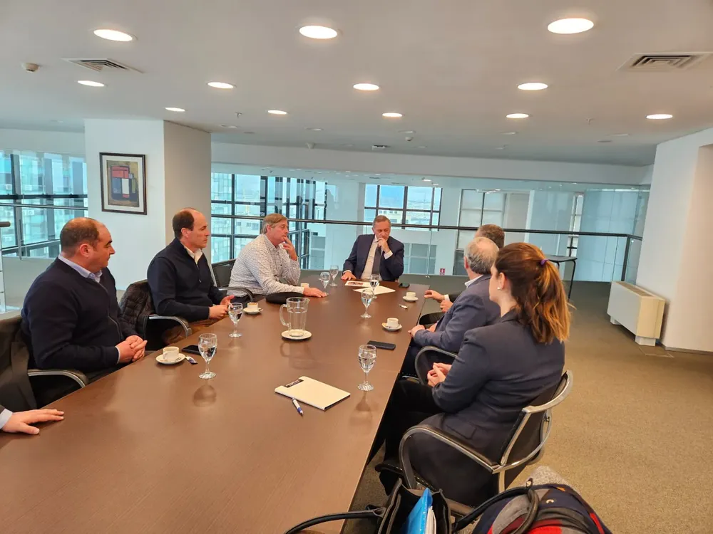 besozzi delgado puertos