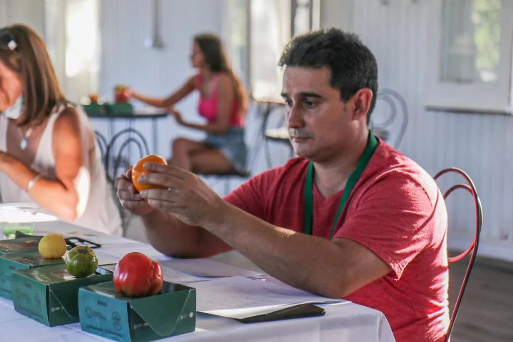 cata tomates
